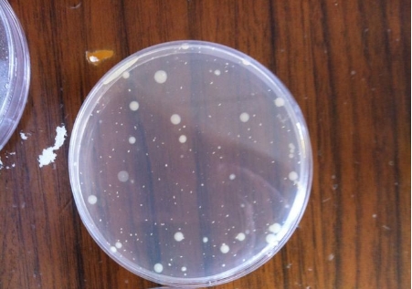 1747830117745547.png 微信截圖_20250521202133.png